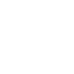 Profissionais Especializados